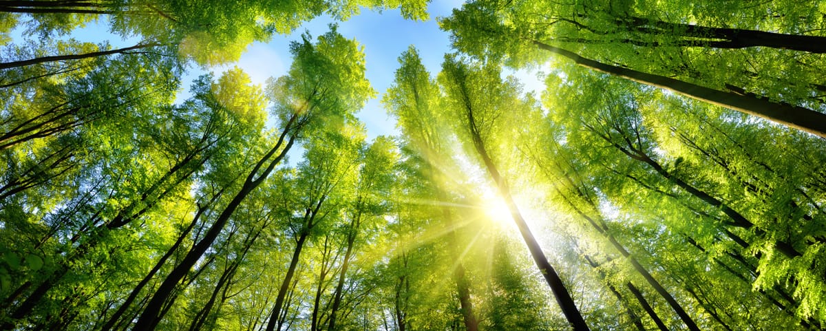 π³ Enviro Futures #5