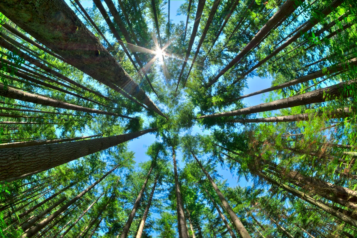 π³ Enviro Futures #2