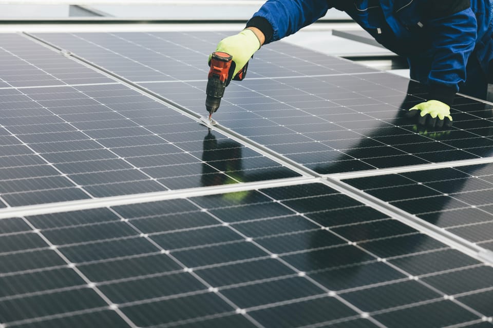 🌍 Green skills gap widens. Global education initiatives step in.